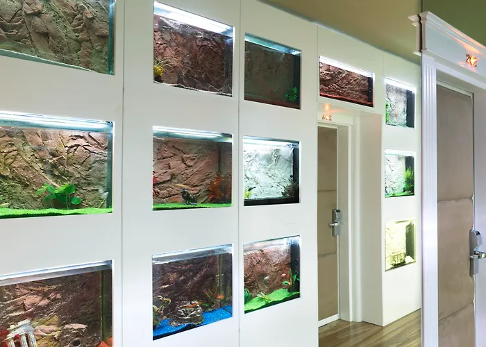 Le Reve De Naim Hotel