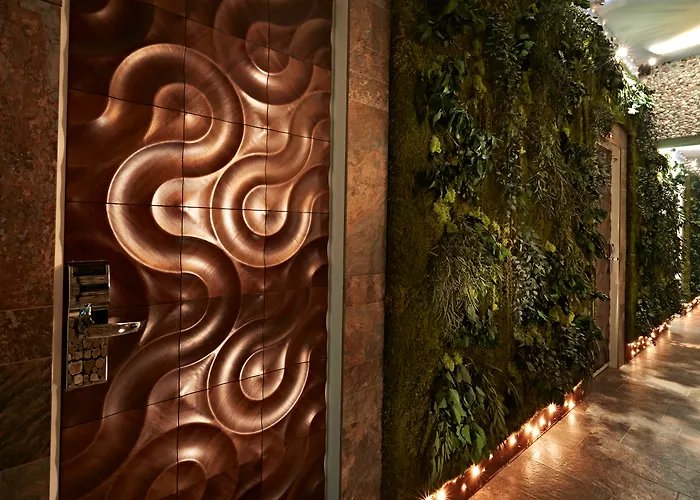 Le Reve De Naim Roma